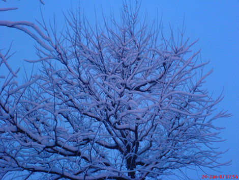 hiver...
